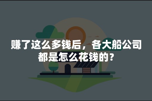 赚了这么多钱后，各大船公司都是怎么花钱的？