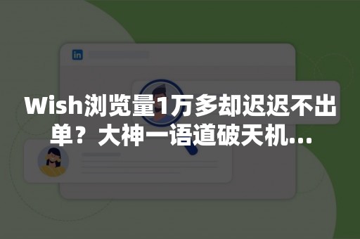 Wish浏览量1万多却迟迟不出单？大神一语道破天机…