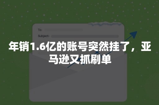 年销1.6亿的账号突然挂了，亚马逊又抓刷单