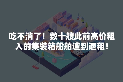 吃不消了！数十艘此前高价租入的集装箱船舶遭到退租！