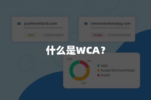 什么是WCA？