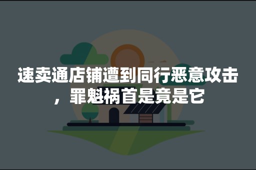 速卖通店铺遭到同行恶意攻击，罪魁祸首是竟是它