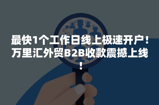 最快1个工作日线上极速开户！万里汇外贸B2B收款震撼上线！