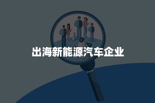 出海新能源汽车企业