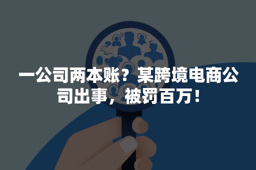 一公司两本账？某跨境电商公司出事，被罚百万！