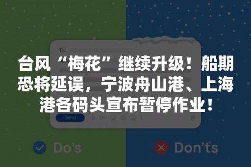 台风“梅花”继续升级！船期恐将延误，宁波舟山港、上海港各码头宣布暂停作业！