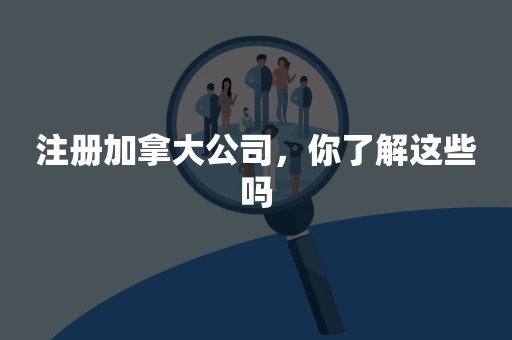 注册加拿大公司，你了解这些吗