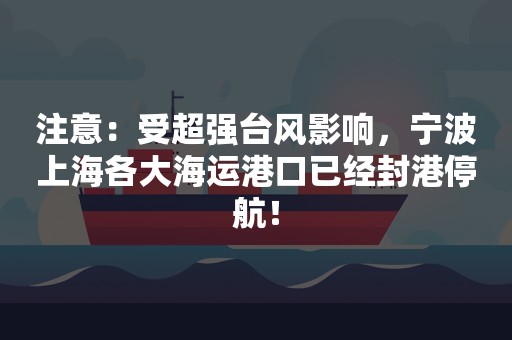 注意：受超强台风影响，宁波上海各大海运港口已经封港停航！