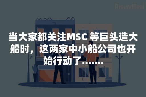 当大家都关注MSC 等巨头造大船时，这两家中小船公司也开始行动了.......