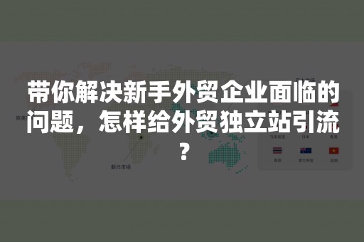 带你解决新手外贸企业面临的问题，怎样给外贸独立站引流？