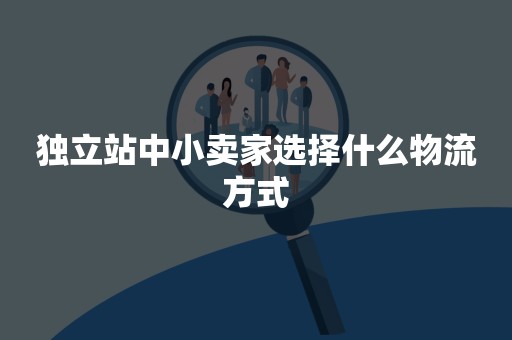 独立站中小卖家选择什么物流方式