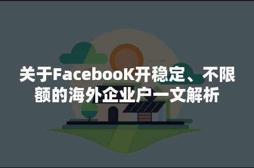 关于FacebooK开稳定、不限额的海外企业户一文解析