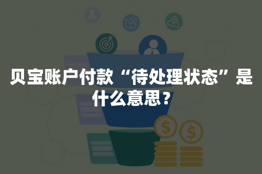 贝宝账户付款“待处理状态”是什么意思？