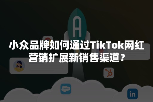 小众品牌如何通过TikTok网红营销扩展新销售渠道？