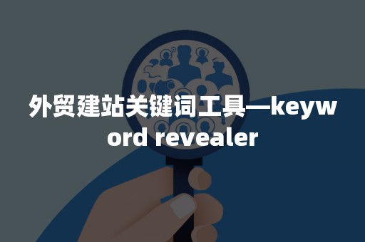 外贸建站关键词工具—keyword revealer